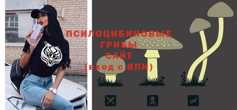 мега онион  Комсомольск-на-Амуре  Галлюциногенные грибы Psilocybe  что такое наркотик 